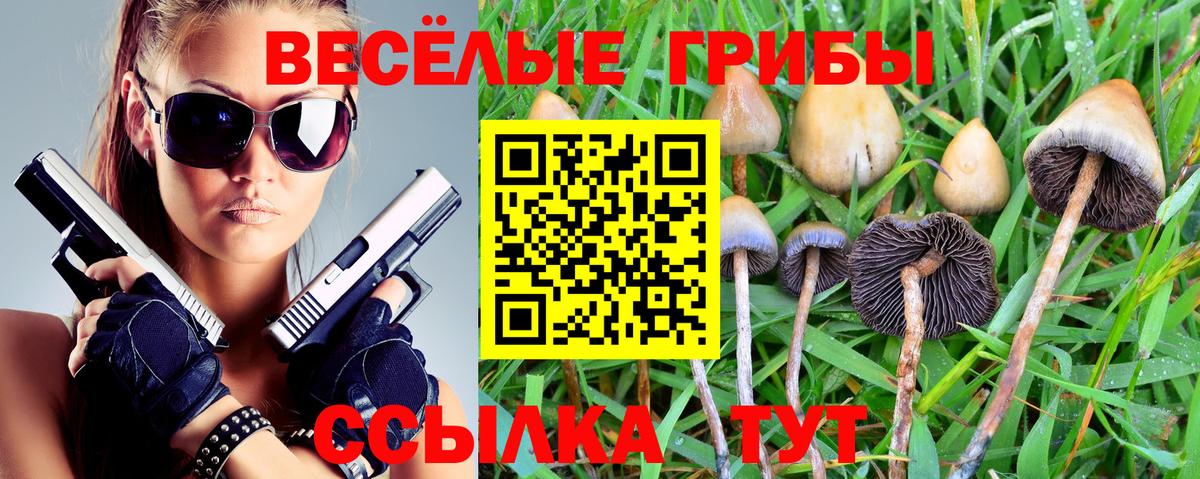 Галлюциногенные грибы прущие грибы  Вход с VPN  Можга 